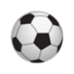 厦门队